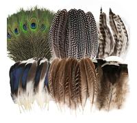 MWOOT 48 Piezas Plumas Naturales, 6 Estilos Plumas de Pavo Real Plumas de Cola de Faisán Plumas de Pavo para DIY Manualidades, Plumas Decorativas para Mascarada de Carnaval Boda Fiesta