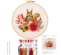 MWOOT Kit de Inicio de Bordado, Juego de Punto de Cruz con Patrón e Instrucciones,Kit de Punto de Cruz para Principiantes (Ardilla)