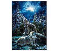 MXJSUA Kit de Pintura de Diamantes 5D, Kits de Pintura de Diamantes para Adultos, Arte de Diamantes de Lobo en la Luz de la Luna, Arte de Diamantes Redondos, Decoración de pared del Hogar, 30x40cm
