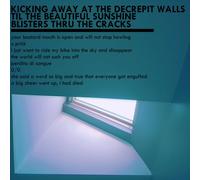 Kicking Away At The Decrepit Walls Til The Beautiful Sunshine Blisters [Vinilo]