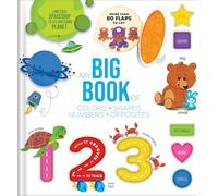 My Big Book of Colors, Shapes, Numbers & Opposites (Touch, Trace, and Learn!)