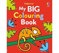 My Big Colouring Book