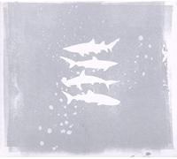 My Brightest Diamond - Shark Remixes