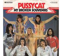 My broken souvenirs / Nothing to hide / 1C 066-25 499