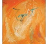 My Cat Is An Alien & - Union of the Supreme Light [Vinilo]