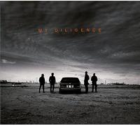 My Diligence - My Diligence