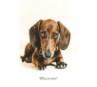 My Dream Journal 2026: Goal Planner with Full Year Calendar | 100 Pages to Plan, Track & Achieve Your Dreams & Goals | Cute Dog Lover Gift for Women, Men & Teens