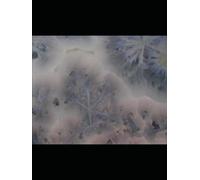 "My Equation and Other Poor Life Choices": "The Universe Is Confusing and So Is This Book"