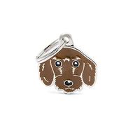 My Family Placa de Identificación personalizado para perro Made in Italy, teckel marrón,Placa de identificación de Perro Grabada Gratis, placa de metal esmaltada a mano, colección Friends, 27x27 mm