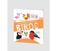 My First Padded Board Book Of Birds- Mini Padded Board Book For Kids With Amazing Illustrations For Early Learning: My First Board Book Of Birds