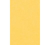 My Fluffy Friend - Dachshund Notebook: Cute Sausage Dog Journal for Kids