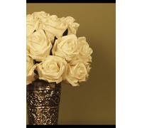 My Grandma & I: The reflections that bond us together (A journal of two-way conversations)