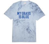 My Grass Is Blue - Simple Minimalist Retro Bluegrass Comfort Colors Adult Heavyweight T-Shirt