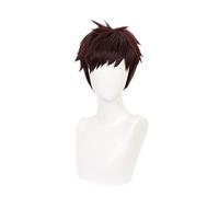 My Hero Academia Overhaul Chisaki Kai Peluca corta Disfraz de Cosplay Boku no Hero Academia Pelo sintético Fiesta Juego de roles Pelucas