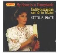 My Home Is in Transylvania by Ottilia Mate