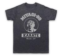 My Icon Art and Clothing Karate Mr Miyagi Do Logo Dojo Logo Retro Martial Arts Film Camiseta para hombre, Pizarra vintage., XL