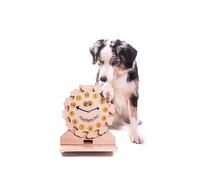 My Intelligent Dogs Juguete Interactivo para Perros Inteligencia - Juguete de Inteligencia para Perros y Gatos - Juguete Interactivo para Perros y Gatos - Juegos de Pensamiento para Perros - Reloj