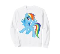 My Little Pony: Friendship Is Magic Rainbow Dash Portrait Sudadera