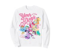 My Little Pony: Friendship Is Magic Year of The Pony Group Sudadera