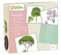 My Mandarine-Una caja imagiers con 24 cartas multilingües (traducción en 10 idiomas), 11,5 x 12,7 cm, árboles 1, color, Tree Designs (Clairefontaine Rhodia JE525C)