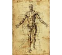 My notebook - human body.: Notebook for writing.