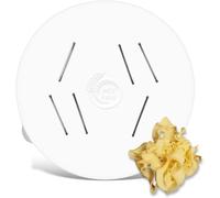 MY Pasta - Mafaldine - Máquina de pasta compatible con Philips Avance 7000 - Matriz para máquina de pasta