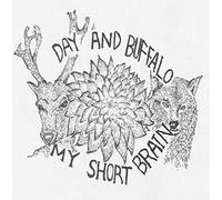 My Short Brain