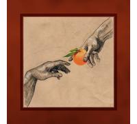 My Ugly Clementine Vitamin C (CD) (Importación USA)