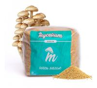 Mycelium Millet Grain Spawn | Bolsa de grano preesterilizada de 3 libras con puerto de inyección autorreparable, ideal para un crecimiento Mycelium rápido y limpio | Perfecto para el cultivo de hongos