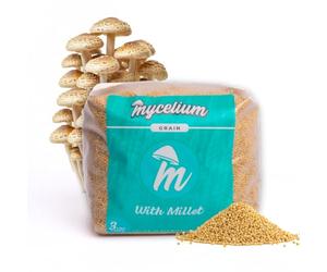 Mycelium Millet Grain Spawn | Bolsa de grano preesterilizada de 3 libras con puerto de inyección autorreparable, ideal para un crecimiento Mycelium rápido y limpio | Perfecto para el cultivo de hongos