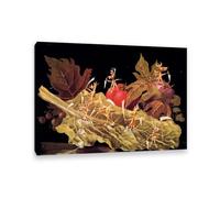 MYCGGDGH Póster de pintura famosa de Remedios Varo,amebiasis o vegetales,reproducción de cuadros sobre lienzo,arte surrealista para de sala de estar,42x30cm(17x12in) Marco interior