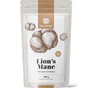 MycoWay Lion's Mane Powder - Extract 12:1 - 100 g MycoWay