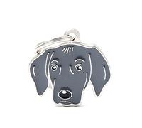 MyFamily - Placa para perro personalizada, con forma de Weimaraner, placa de perro con grabado gratis, esmaltada a mano de metal, colección Friends