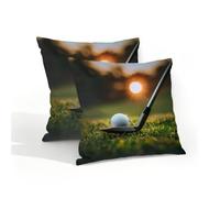 Myfsucce Juego de 2 fundas de cojín resistentes al agua para exteriores, 40 x 40 cm, diseño de pelota de golf en el club, para jardín, patio, sofá, dormitorio, con cremallera invisible