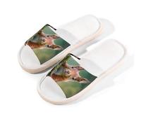 Myfsucce Pantuflas de punta abierta para mujer, antideslizantes, cómodas, transpirables, de lino de verano, pantuflas de casa para mujeres y hombres, para interiores, Ardilla animal del bosque, 42.5