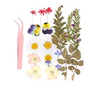 MYGLOAR 21 piezas de hojas prensadas secas, especímenes de plantas, pétalos de hojas mixtas, hojas secas naturales reales, artesanías de resina, adornos de decoración DIY(mariposa flor del amor)