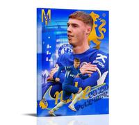 MYHRDF Cole PalmerLiving - Lienzo multifuncional impermeable para pared, resistente a los rayos UV, sin marco, estilo 50 x 75 cm