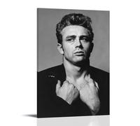 MYHRDF James DeanLiving - Lienzo multifuncional impermeable para pared, resistente a los rayos UV, sin marco, estilo 50 x 75 cm