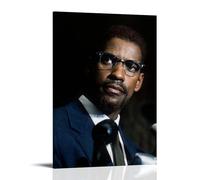 MYHRDF Malcolm XLiving - Lienzo decorativo para pared, impermeable, multifuncional, resistente a los rayos UV, sin marco, estilo 20 x 30 cm