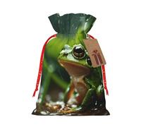 MyPiky Bolsas de regalo de Navidad con estampado de rana y lluvia, bolsas de regalo, bolsa de almacenamiento, paquete de cordón, bolsa de regalo para fiesta de vacaciones