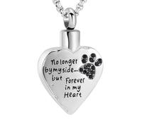 MYPOWER Collar conmemorativo de cremación para Mascotas, Colgante de corazón con Cristal para Cenizas de Gato y Perro talladas, joyería de Acero Inoxidable Que ya no está a mi Lado.