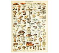 MyPuzzle Champignons - Setas para Todos, Póster De Arte De Época, Adolphe Millot - Premium 100 Piezas Puzzles - Colección Especial MyPuzzle de Havana Puzzle Company