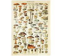MyPuzzle Champignons - Setas para Todos, Póster De Arte De Época, Adolphe Millot - Premium 1000 Piezas Puzzles - Colección Especial MyPuzzle de Havana Puzzle Company