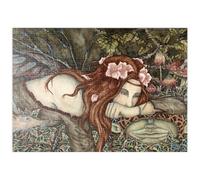 MyPuzzle Fantasía De Hadas Y Duendes - Amy Brown - Premium 500 Piezas Puzzles - Colección Especial MyPuzzle de Tate & Co Puzzles