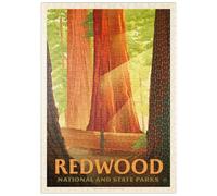 MyPuzzle Redwood National and State Parks: Rayos De Sol - Premium 500 Piezas Puzzles - Colección Especial MyPuzzle de Anderson Design Group
