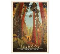 MyPuzzle Redwood National Park: Whispering Wind, Póster Vintage - Premium 100 Piezas Puzzles - Colección Especial MyPuzzle de Anderson Design Group