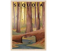 MyPuzzle Sequoia National Park - Tunnel Log, Vintage Travel Poster - Premium 1000 Piezas Puzzles - Colección Especial MyPuzzle de Havana Puzzle Company
