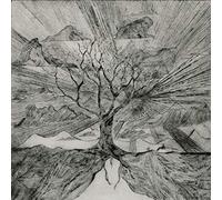 Myrddin - Monstruos y duended vol 1 myfrio