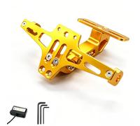 MYRFCSA Soporte Matrícula de Motocicleta, para Piaggio X9 Evolution 125 2005-2007 Marco matrícula Ajustable Kit eliminador Guardabarros Motocicleta con luz LED,G