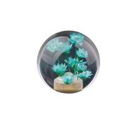 MYSSJS Perilla De Cambio Manual Para Coche Pomo Marchas Con Forma Flor Transparente Cristal Pomos Palanca Cambios(Green)